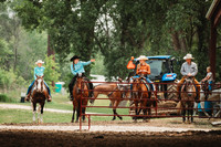 7-16 : Open Horse Show